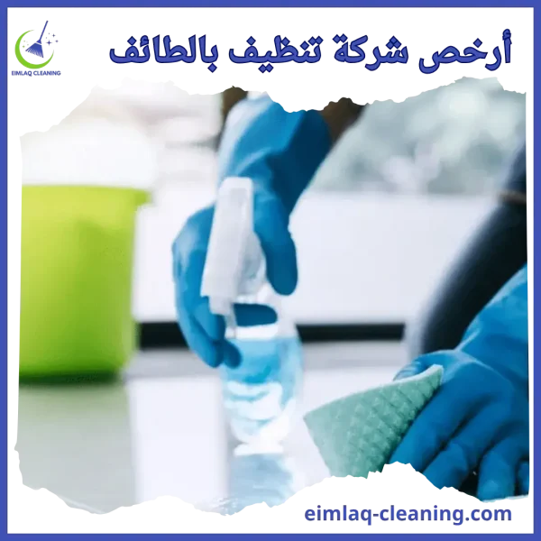 أرخص شركة تنظيف بالطائف