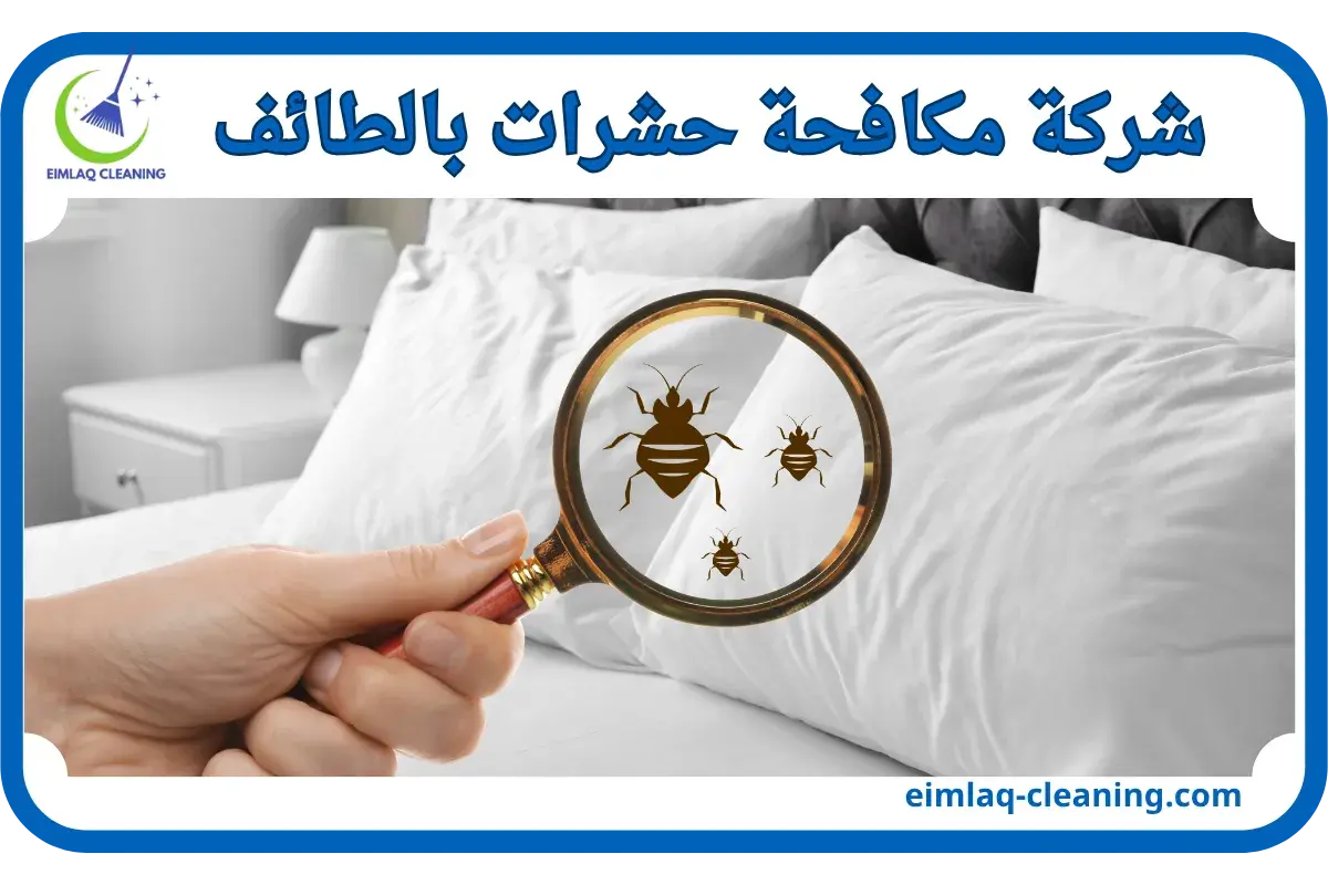 شركة مكافحة حشرات بالطائف