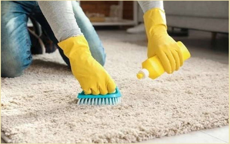 مميزات شركة تنظيف سجاد بالطائف