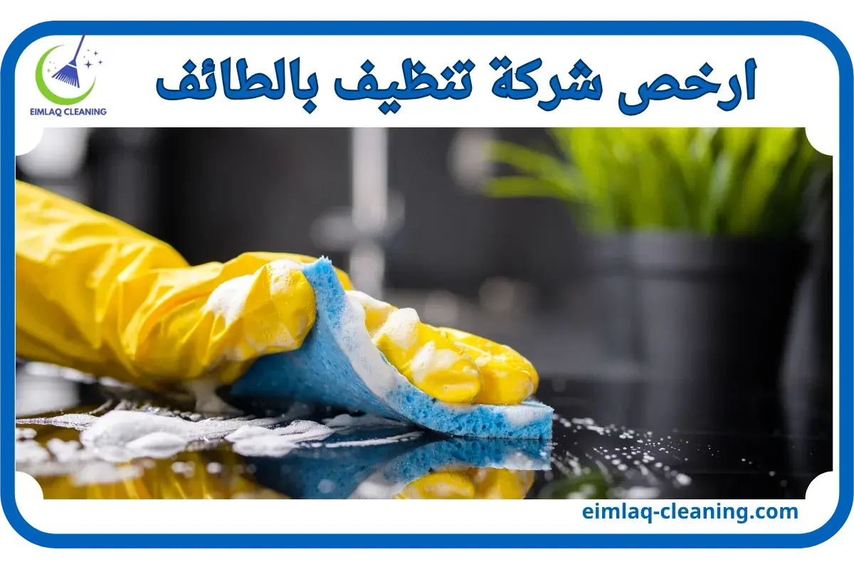 ارخص شركة تنظيف بالطائف